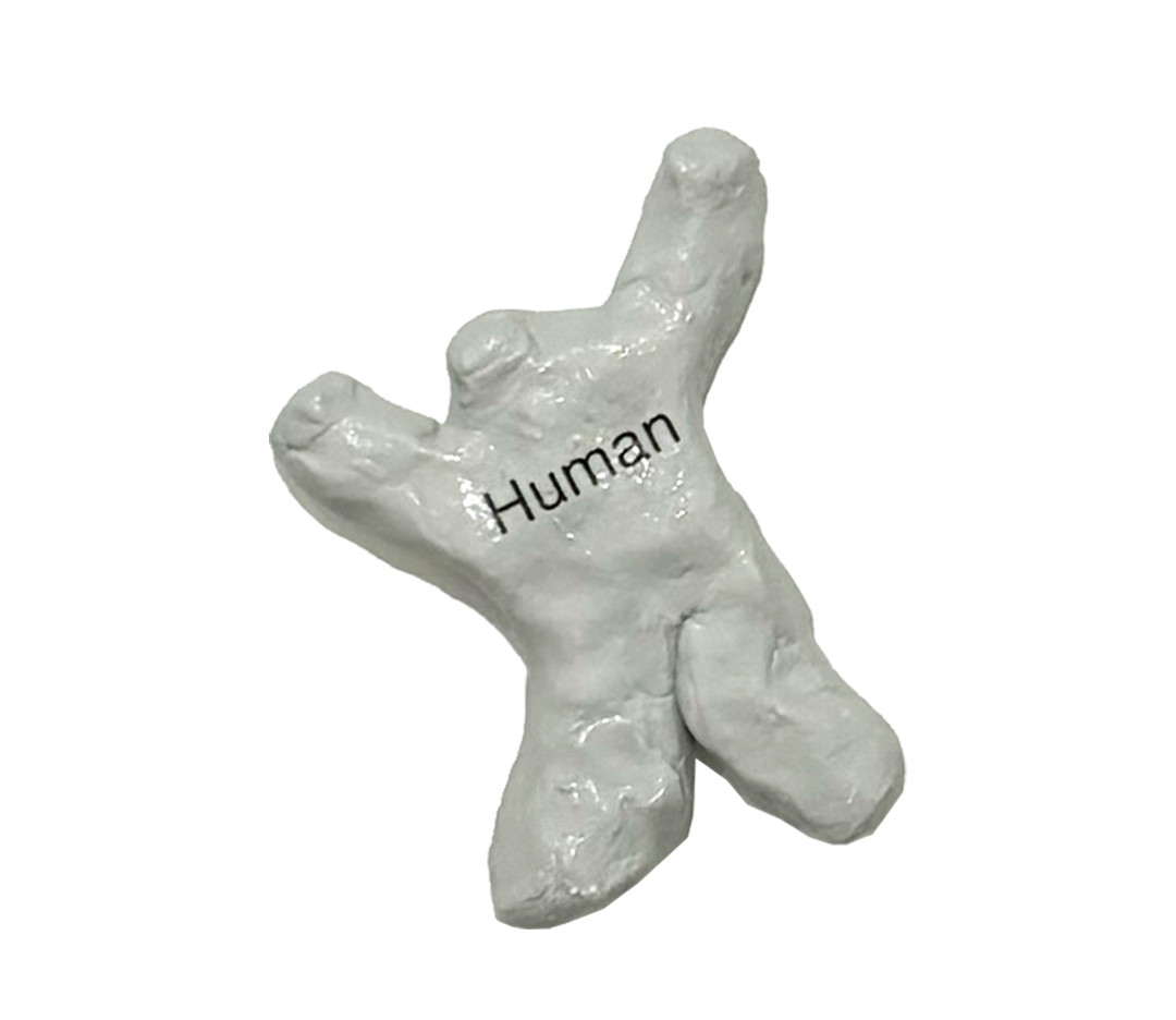 Human