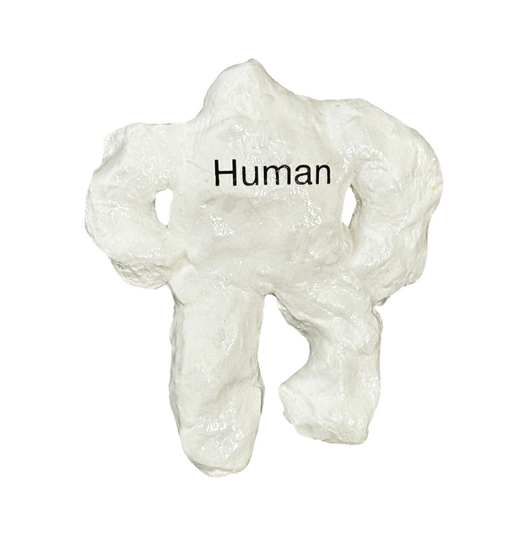 Human
